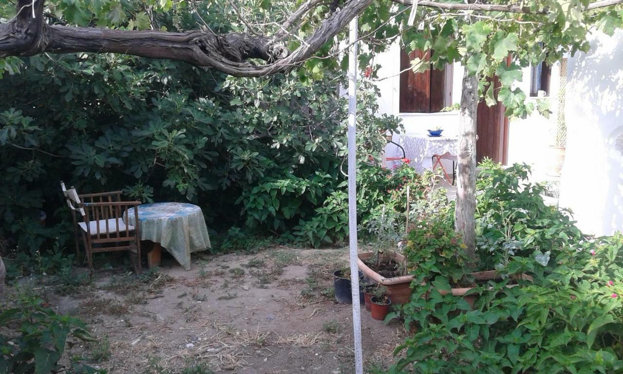 Αmmos Rooms Palaiochora Esterno foto