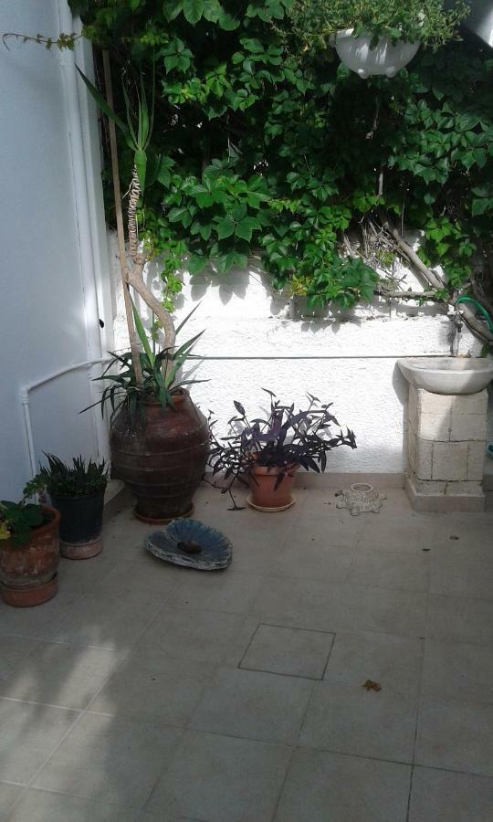 Αmmos Rooms Palaiochora Esterno foto
