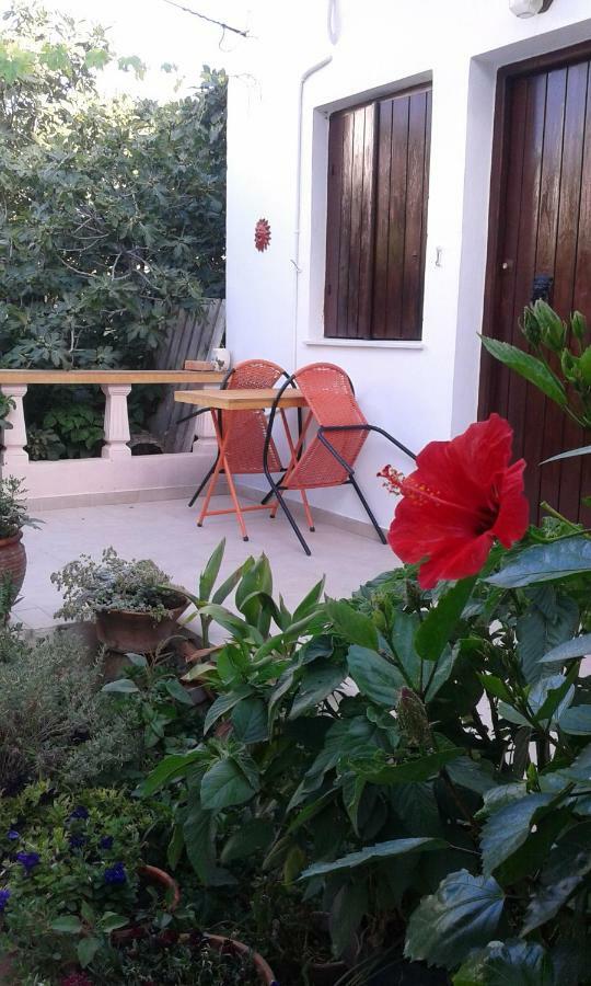 Αmmos Rooms Palaiochora Esterno foto